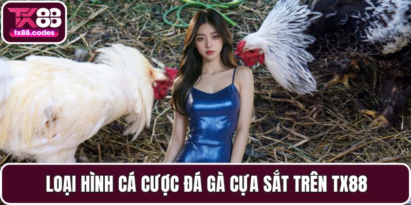 Loại hình cá cược đá gà cựa sắt trên TX88
